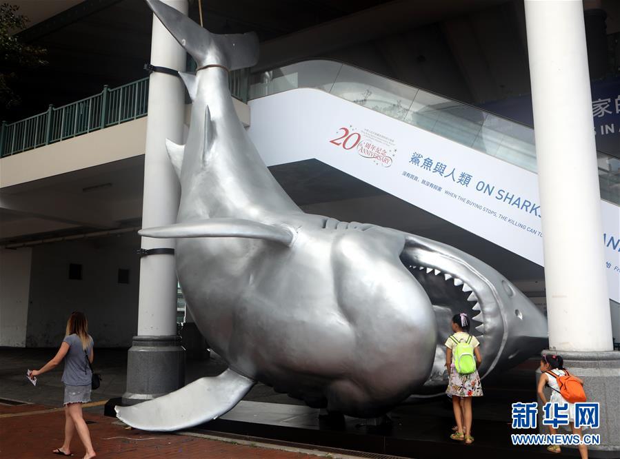 （文化）（3）香港舉辦“鯊魚與人類”當代藝術展