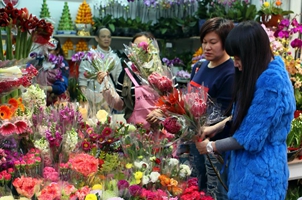 香港人过年“无花不欢”