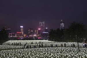 香港玫瑰灯海点亮维港