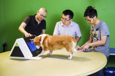 深圳前海深港青年夢工場裏香港創業者