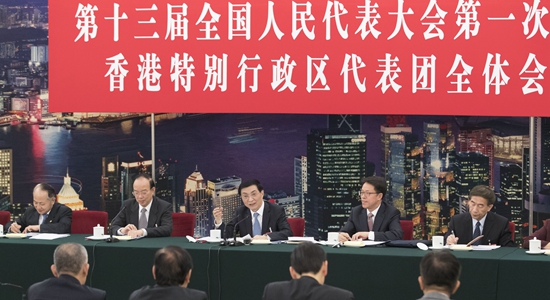 王沪宁参加全国两会香港代表团讨论和审议