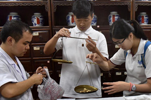 香港學子浙江武義學中醫