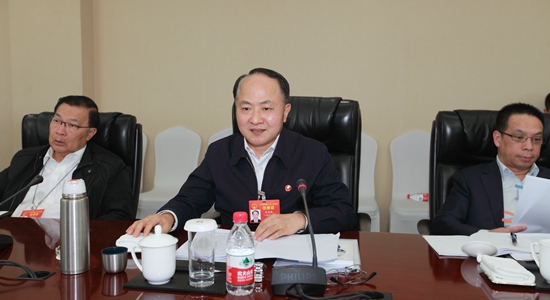 王志民在參加香港代表團審議政府工作報告時的發言