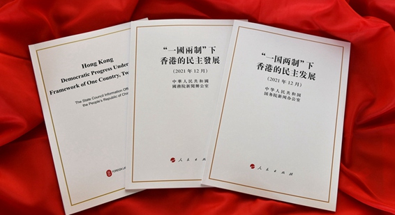 国务院新闻办发表《“一国两制”下香港的民主发展》白皮书