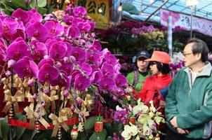 年宵花市動香江