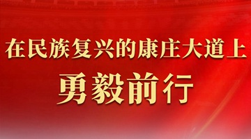在民族复兴的康庄大道上勇毅前行——代表委员共话推进中国式现代化